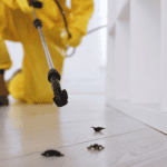 pest control professional