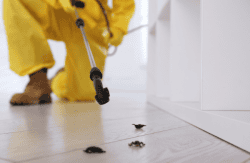 pest control professional