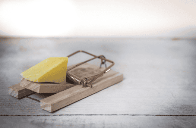 a rat trap