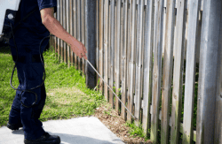 pest control service