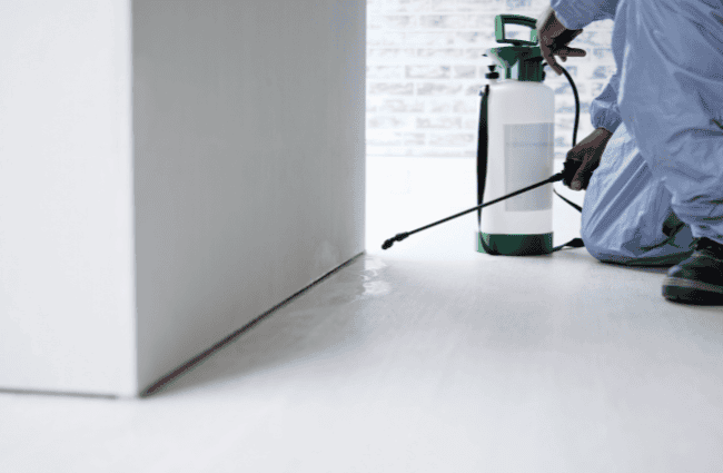 pest control service