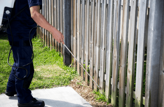 pest control service